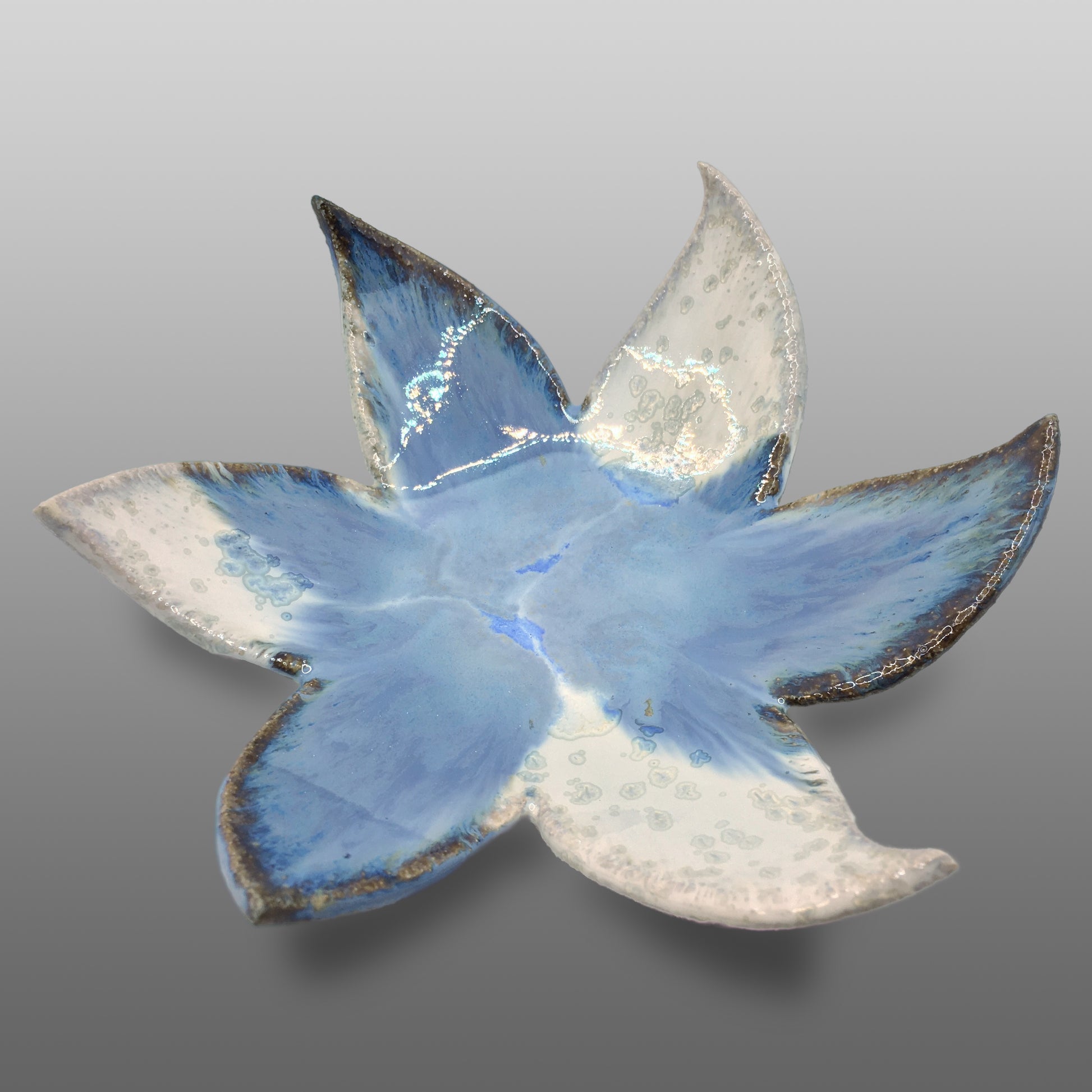 Coupelle fleur émaillée blanc bleu