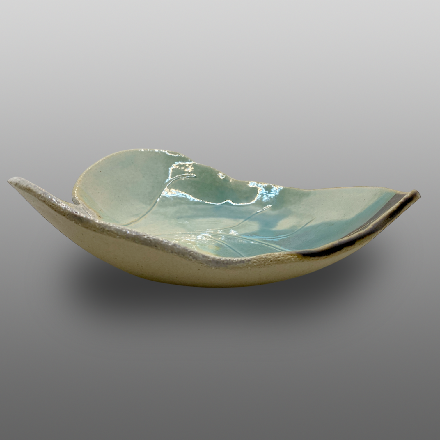 Grande coupe feuille turquoise gris bronze