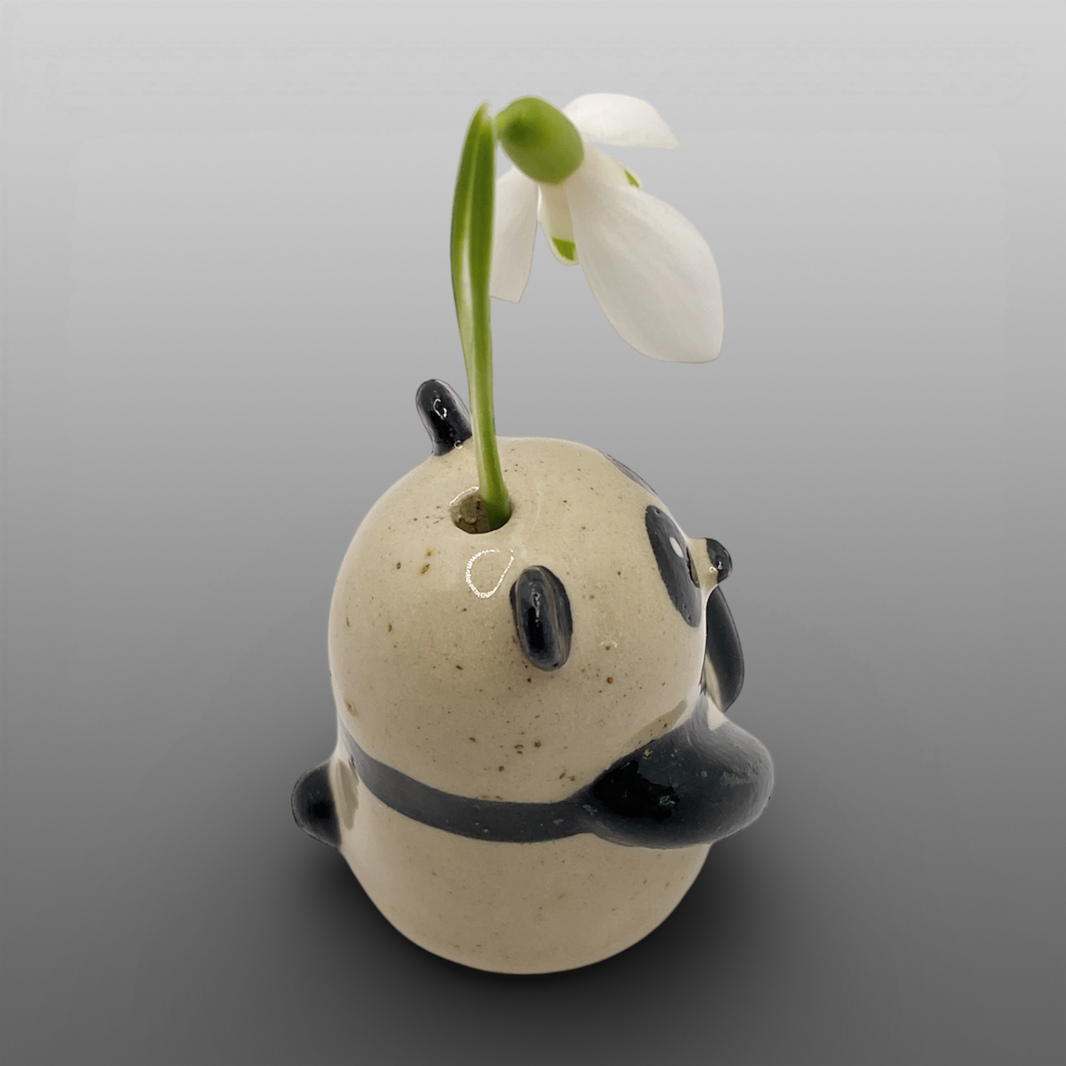 Petit soliflore panda