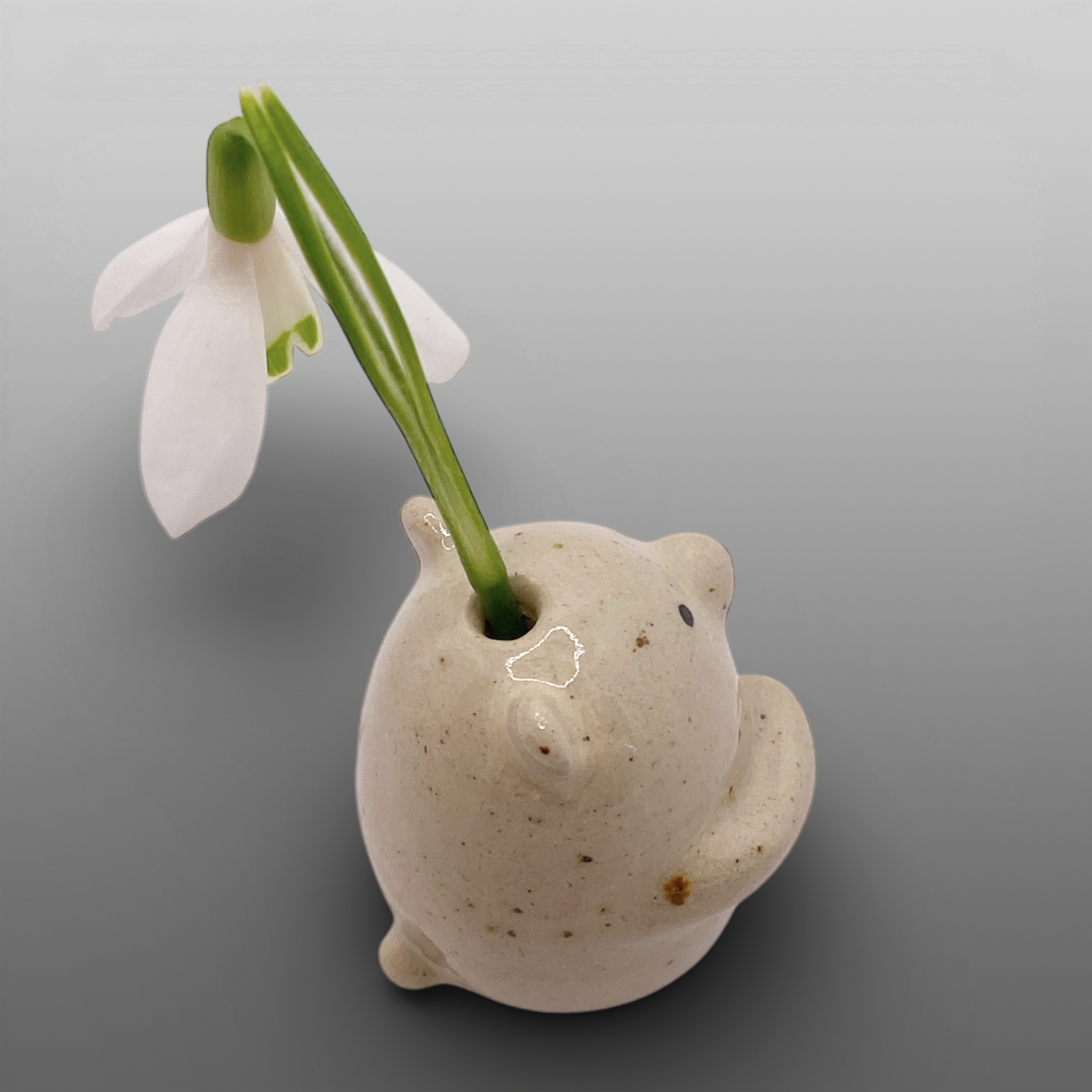 Mini soliflore ours blanc