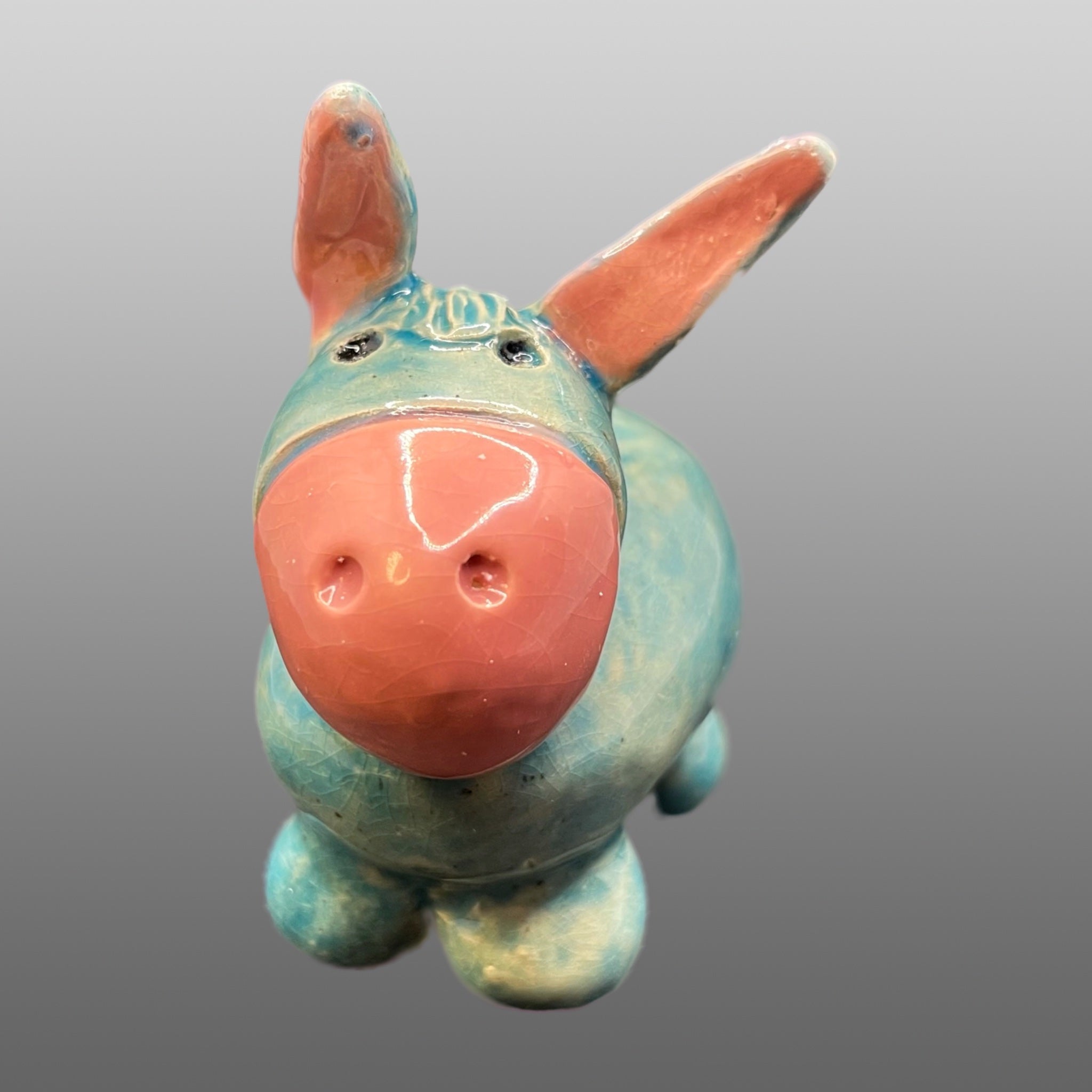 Ane bleu