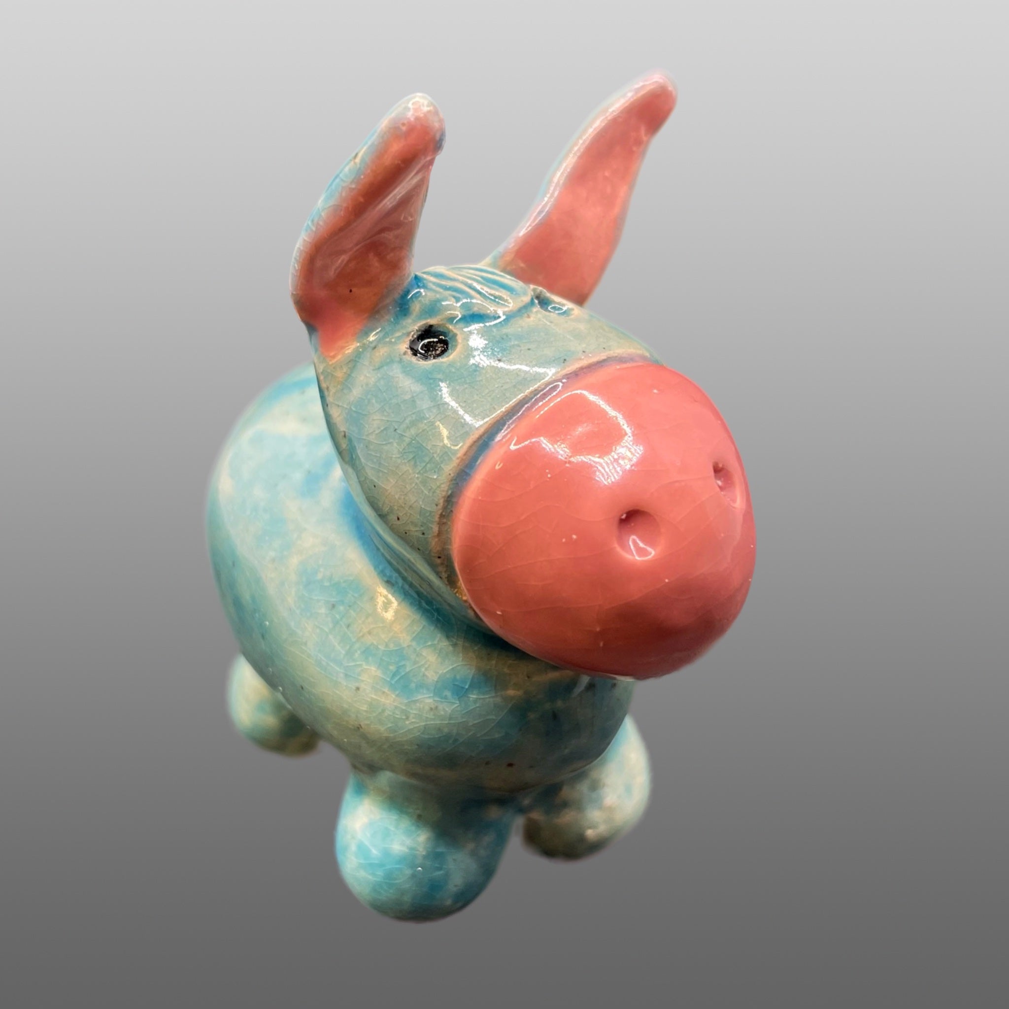 Ane bleu