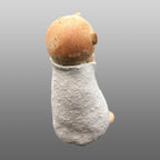 Moine berger