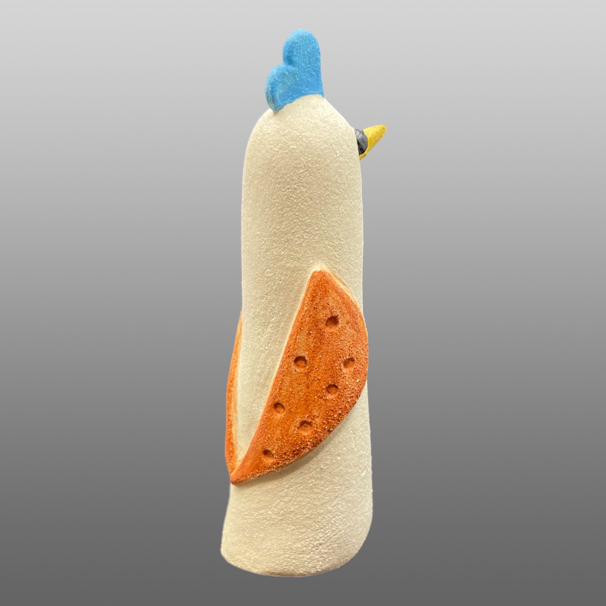 Oiseau crête bleue